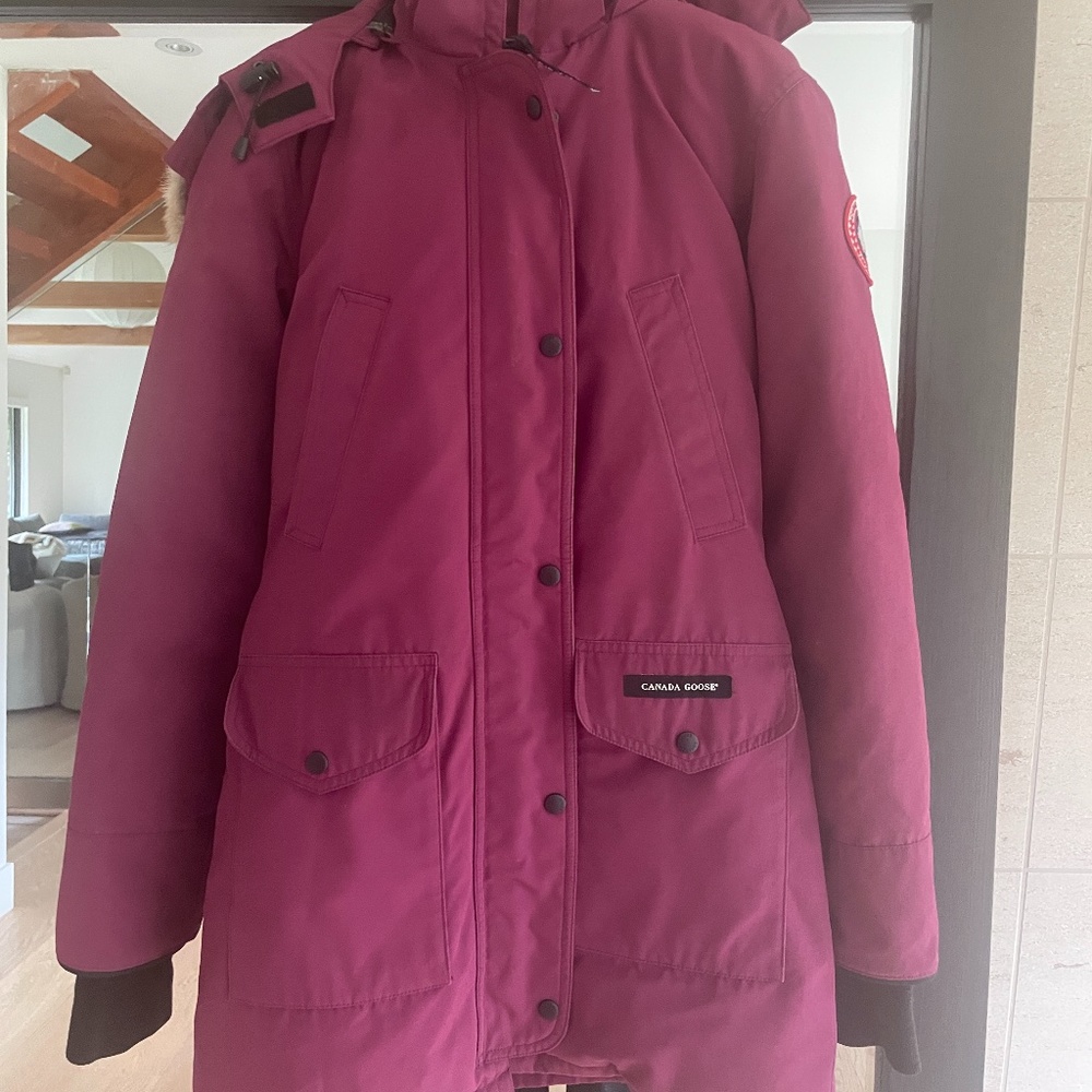 Canada Goose